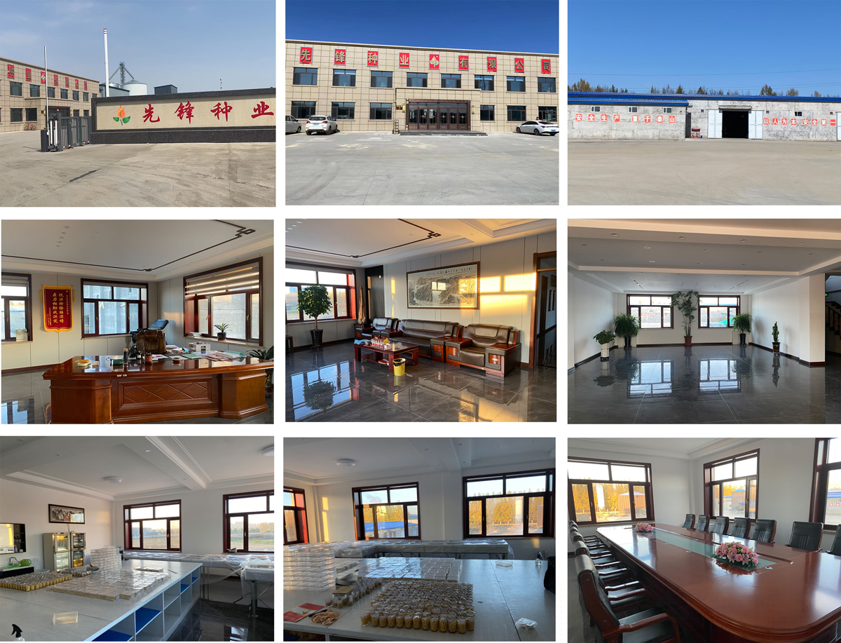 1715398282584640.jpg 未標題-1.jpg